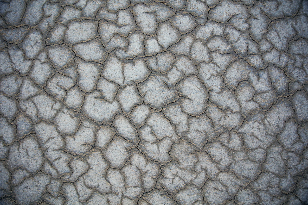 Eco-Friendly Techniques to Improve Soil Fertility